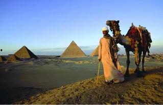 外国人爆料埃及视频 第1张 外国人爆料埃及视频 第1张