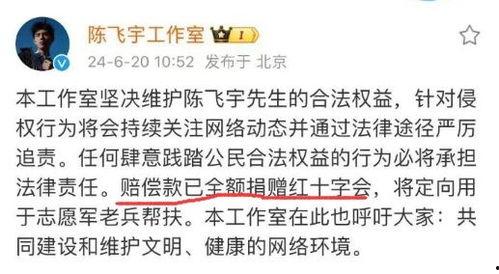 陈飞宇视频爆料是真的吗,陈飞宇视频爆料真实性揭秘  第3张