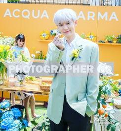 灿烈姐姐爆料了吗视频下载,揭秘娱乐圈幕后故事 第1张 灿烈姐姐爆料了吗视频下载,揭秘娱乐圈幕后故事 第1张